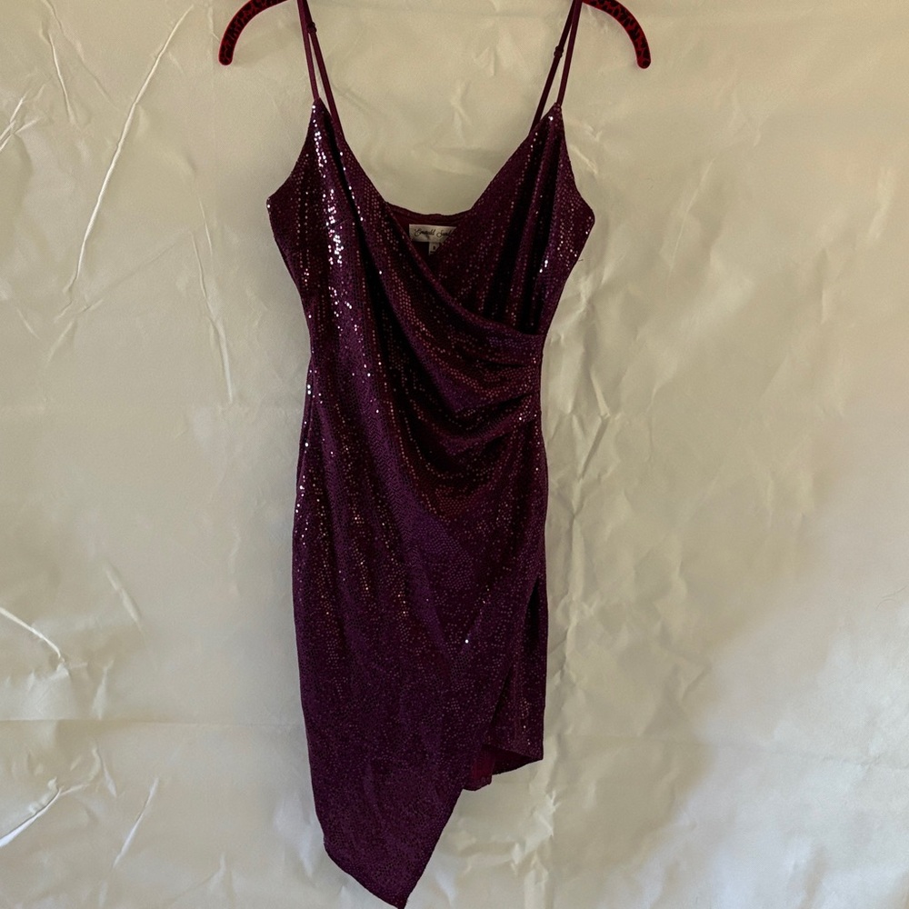 Elegant Deep Plum Purple Sequin Dress
